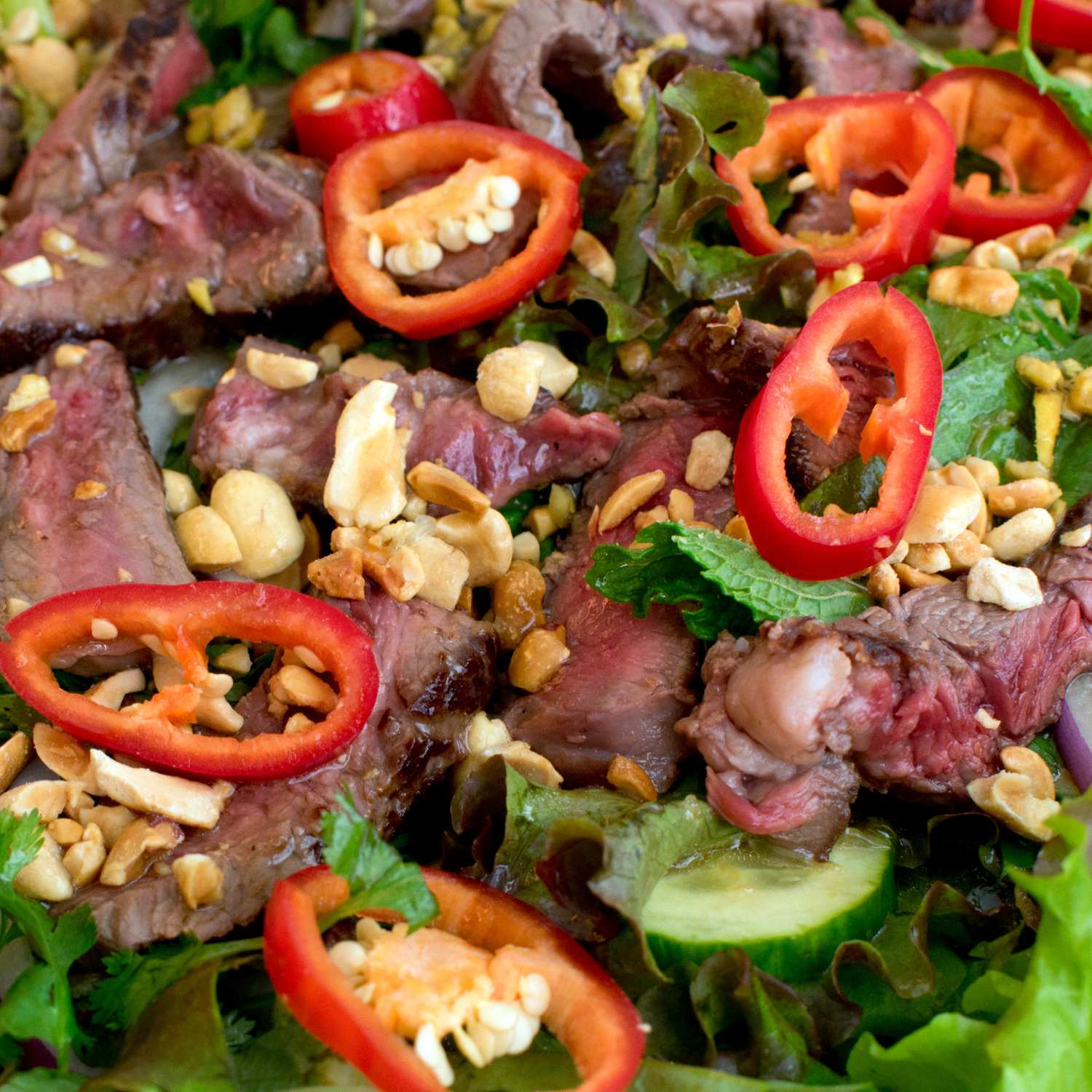 Healthy and Delicious Recipes Using Gingers and Coriander