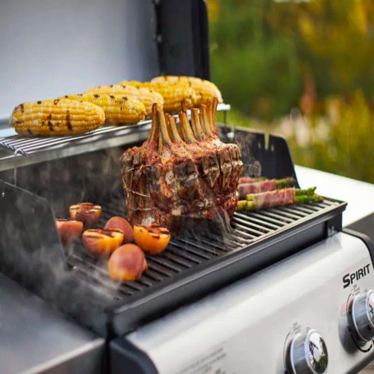 Weber Spirit SP-335 Grill perfect for outdoor barbecues available at MeatKing.hk1