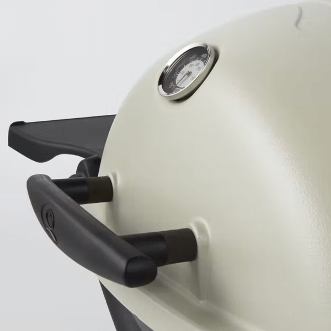 Weber Q3200 Gas Grill (Black) | MeatKing.hk