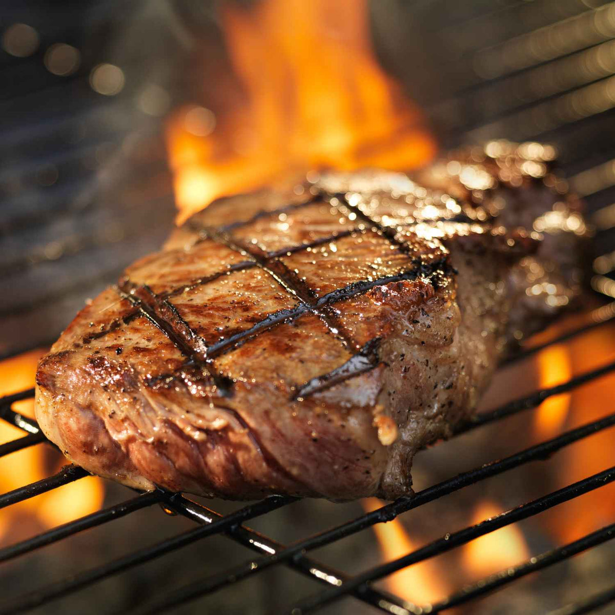 Grill Marks 101 | MeatKing.hk
