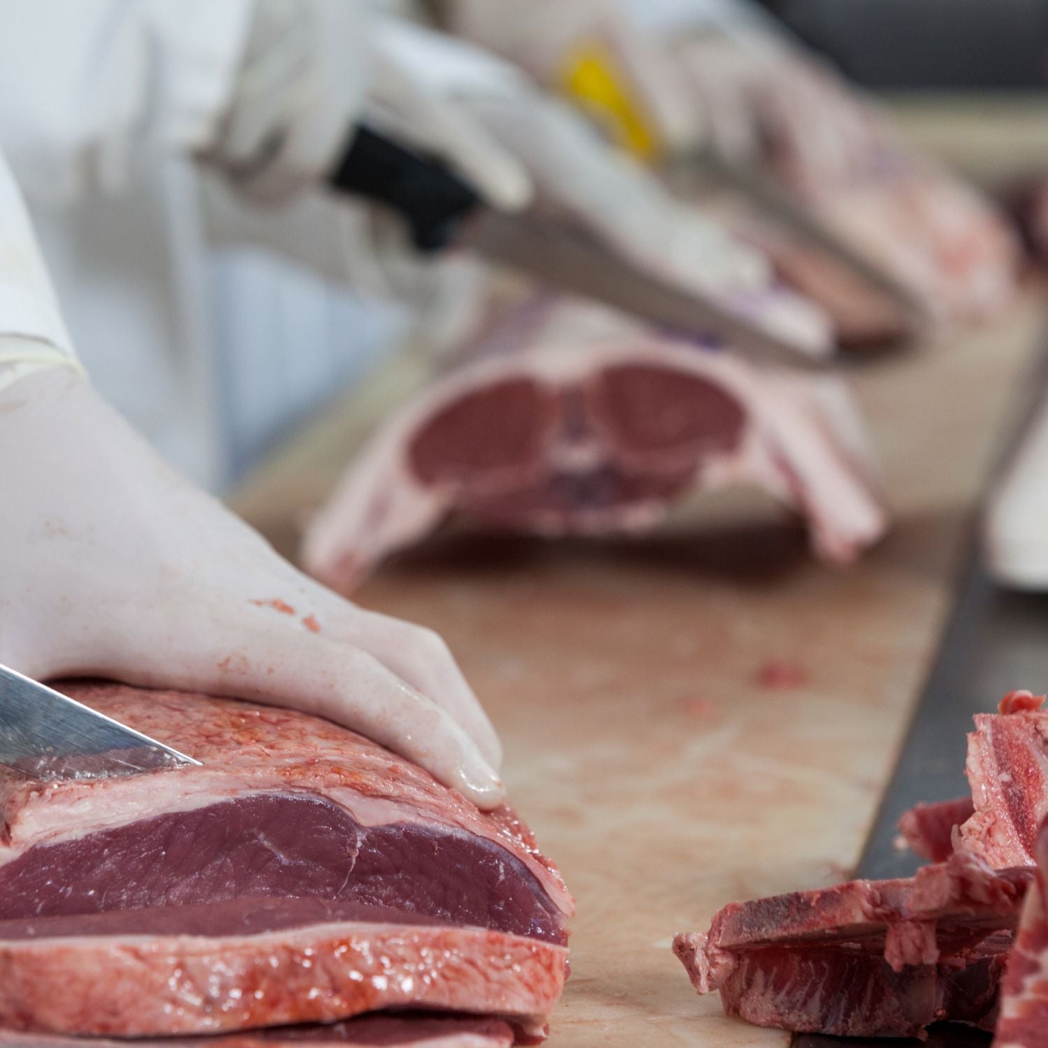 Meat Industry Meat Processing Behind the Scenes of Meat King An Insider's Look at Meat Processing