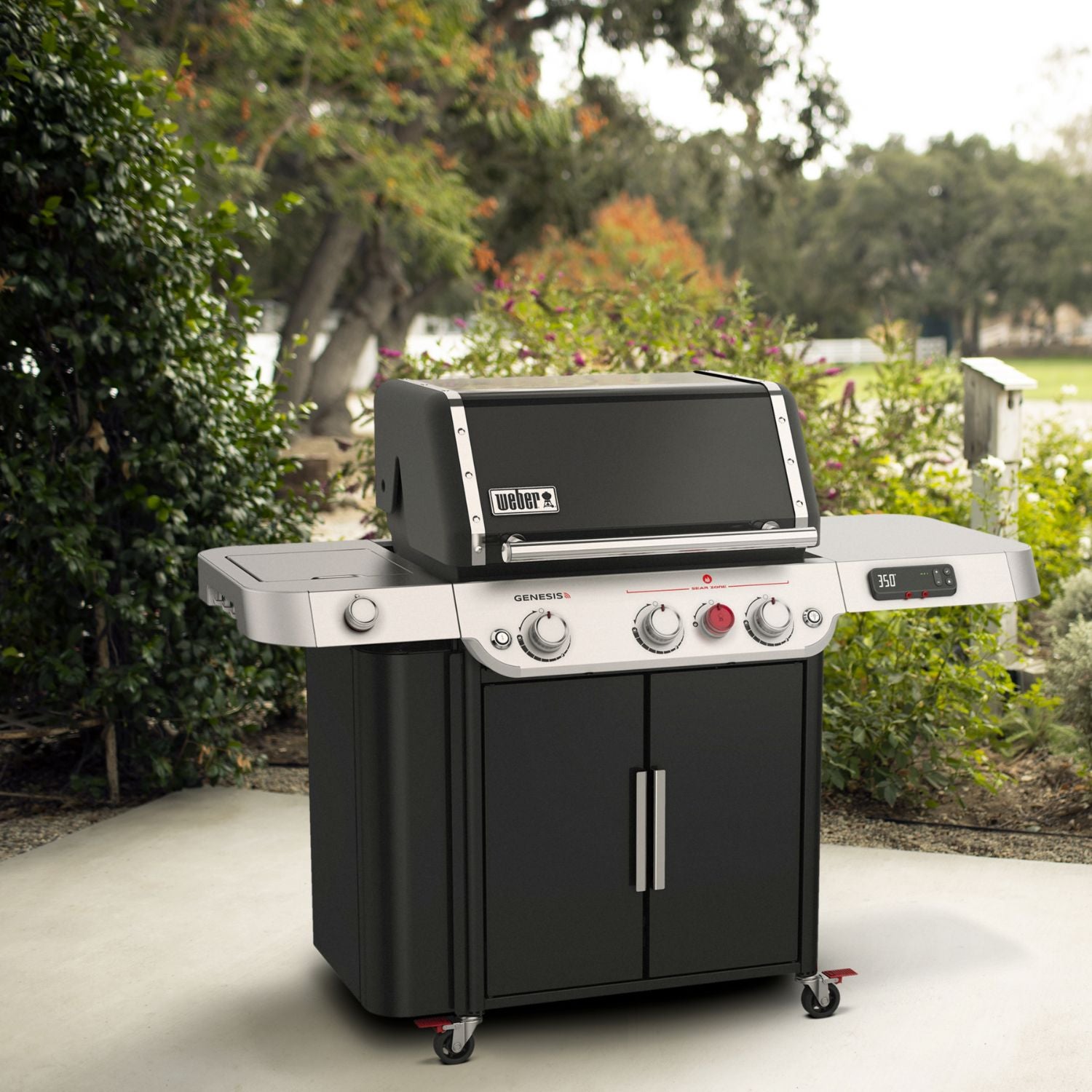 Types of Weber Grills The Ultimate Guide to Weber Grills Gas, Charcoal, and Electric Options