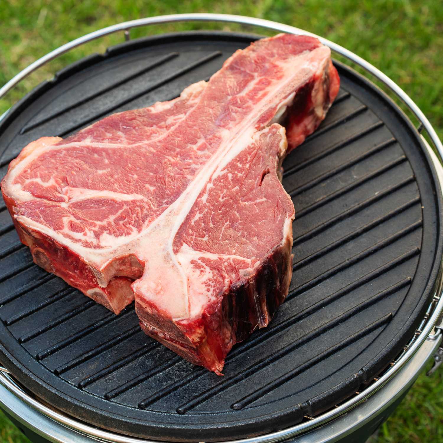 Australian Premium T-Bone Steak - Juicy & Tender