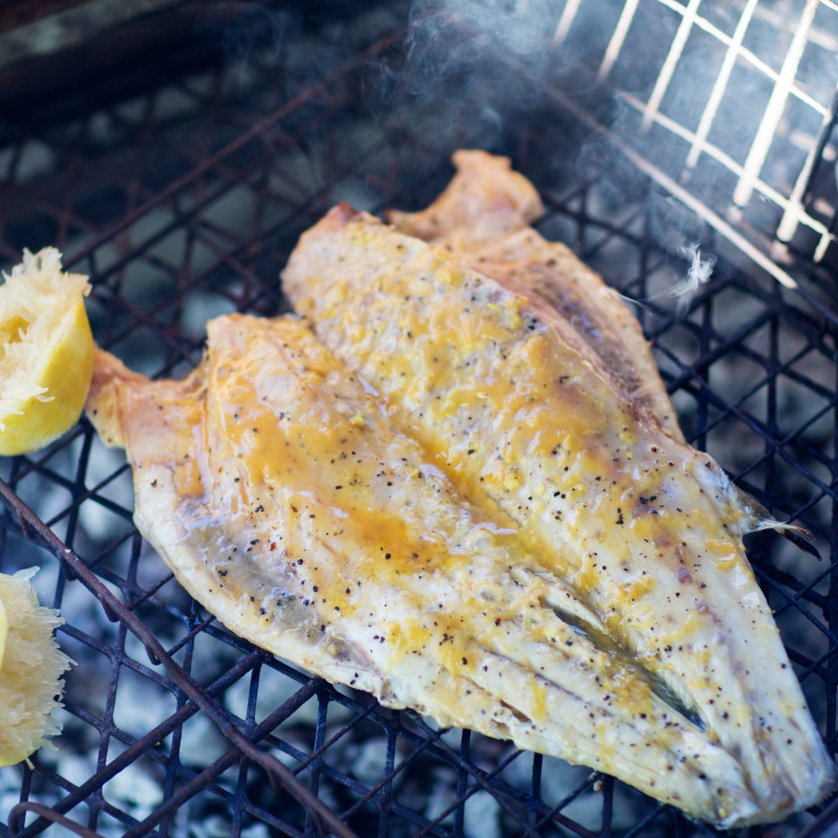 Premium Australian Wild Catch Barramundi Fillet - Fresh Seafood ...